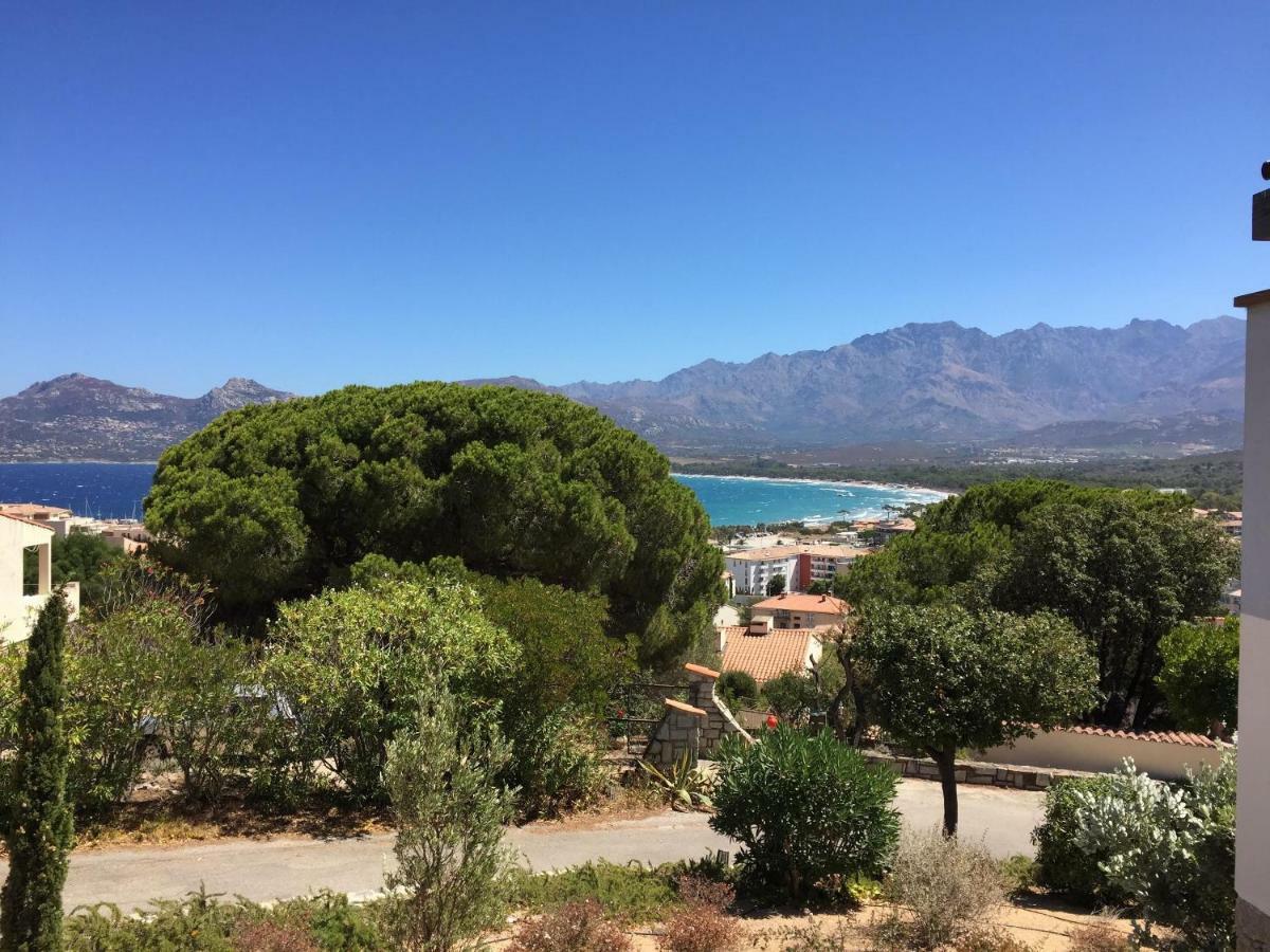 קאלבי Appartement Calvi מראה חיצוני תמונה